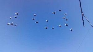 ,, КУРСКИЕ ГОЛУБИ ,, г САЛЬСК.