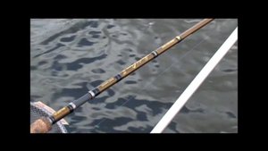 Рыбалка на фидер в Германии - Michael Zammataro