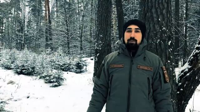 19 декабря - День вечнозеленых растений
