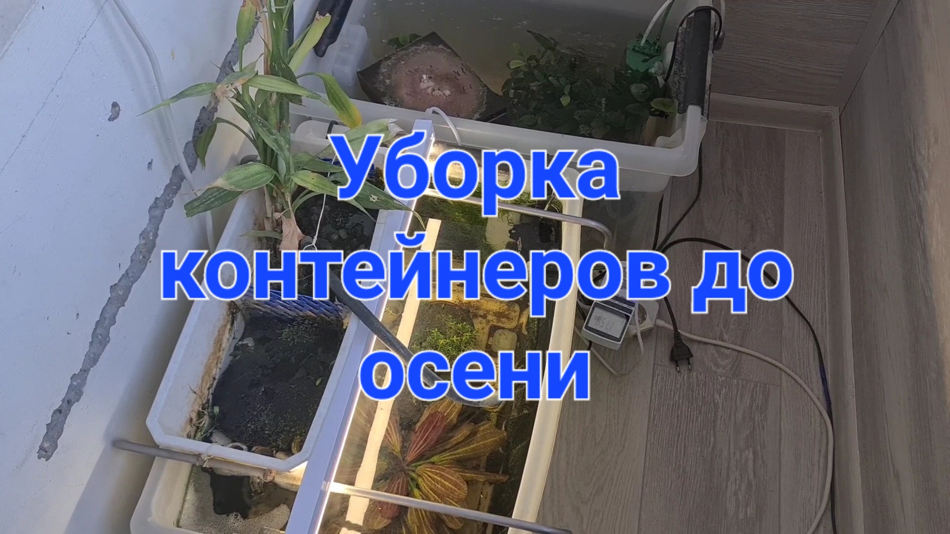 Уборка контейнеров до осени смотреть онлайн