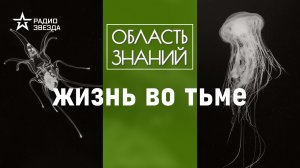 Кто живёт на дне океана? Лекция биолога Александра Семёнова