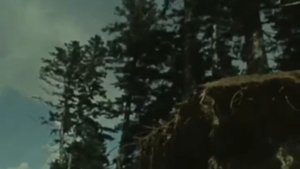 "Опять плывут куда-то корабли" (А.Колкер - И.Кашежева)