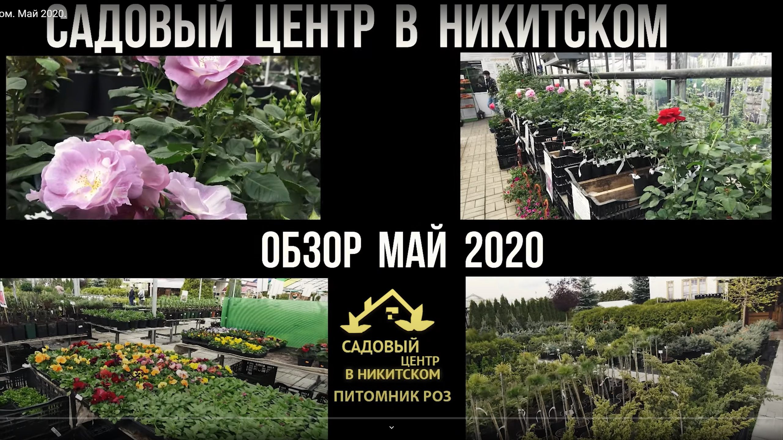 Садовый центр в Никитском Май 2020