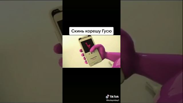 Розовый гусь умеет зажигать