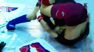 таджик vs узбек ченпионат по бой без правил