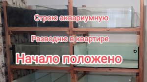 Строю маленькую аквариумную разводню "Часть 1"