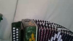 Дизайн Ганинской гармони.