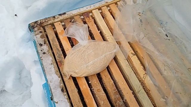 Зимовка пчел смотреть онлайн