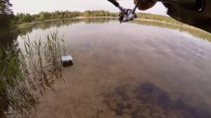 Рыбалка на окуня со спиннингом Ловля на воблеры и микроколебалки