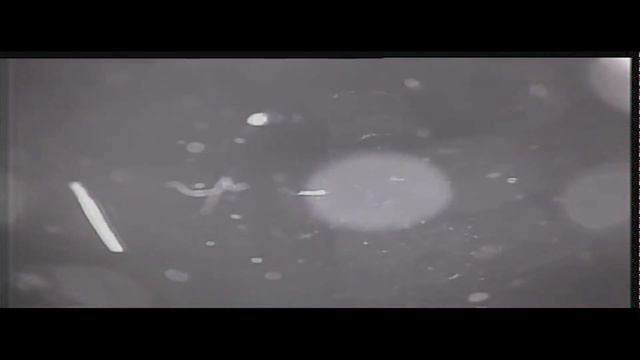 Well Investigation смотреть онлайн