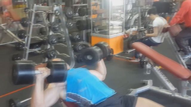 Жим гантелей смотреть онлайн