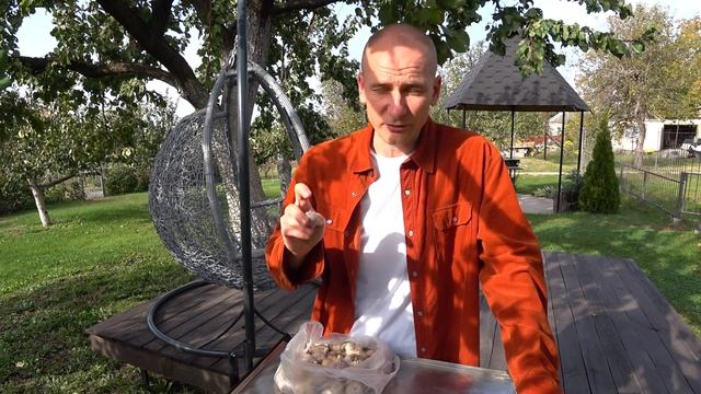 КАК ПОСАДИТЬ ЧЕСНОК ОСЕНЬЮ? Озимый и яровой чеснок