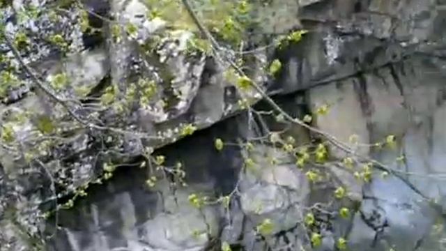 Гранитный каньон. Адыгея. Adygea