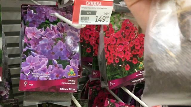 Обзор цветочков в гипермаркете Ашан ???????
