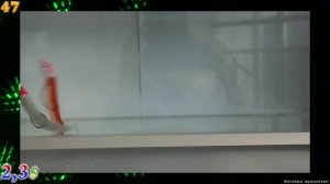 100 ЛУЧШИХ ТОВАРОВ ДЛЯ РЫБАЛКИ С АЛИЭКСПРЕСС + КОНКУРС