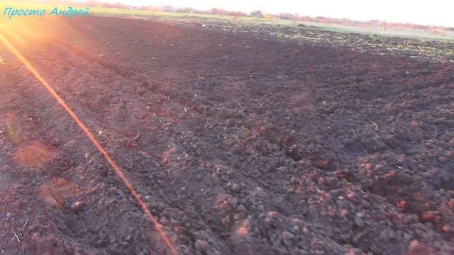 Трава для нутрий пришла весна смотреть онлайн