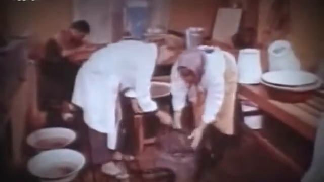 История разведение осетровых в СССР