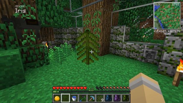 Tiny, Tiny Baby Confuciusornis!! ? Zoo Crafting: Season 2 - Episode #35 смотреть онлайн