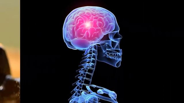 WORLD'S MOST TOXIC FROGS! смотреть онлайн