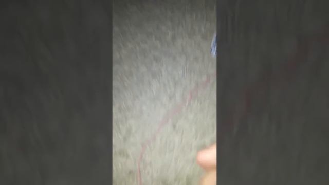 DIY Гирлянда фрукты!!! в видео будет опрос ( тест ) в правом верхнем углу смотреть онлайн