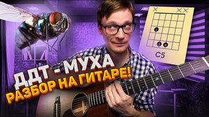 ДДТ Муха подробный разбор на гитаре 🎸 кавер табы аккорды