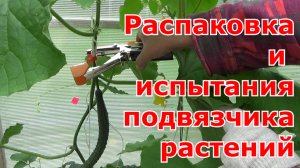 Распаковка посылки из интернет-магазина. Тапенер-степлер для подвязки растений, испытания подвязчика