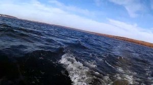 ЛОВЛЯ СОМА В СЕРЕДИНЕ ОКТЯБРЯ