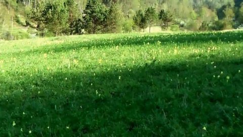 Богатство, богатство - что такое богатство?