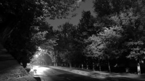 Стихотворение А.Фет - ШЕПОТ, РОБКОЕ ДЫХАНЬЕ…