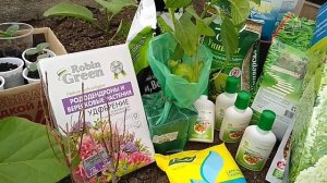 НОВЫЕ СОРТА ГОРТЕНЗИЙ И КЛЕМАТИСА.УДОБРЕНИЯ И СТИМУЛЯТОРЫ.