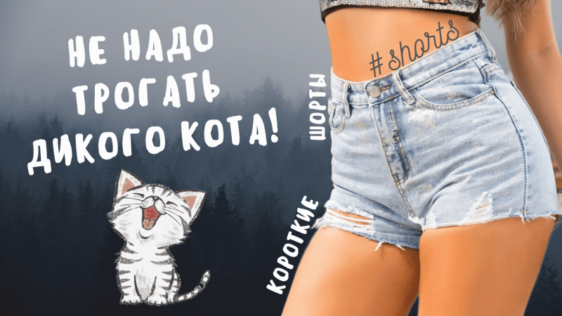 Вот только не надо меня гладить! Я дикий злой кот!..) #shorts