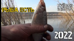 РЫБАЛКА НА ТОМИ 2022