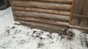 Домик в деревне. Север Омской области. 26 ноября +2 погода сошла с ума