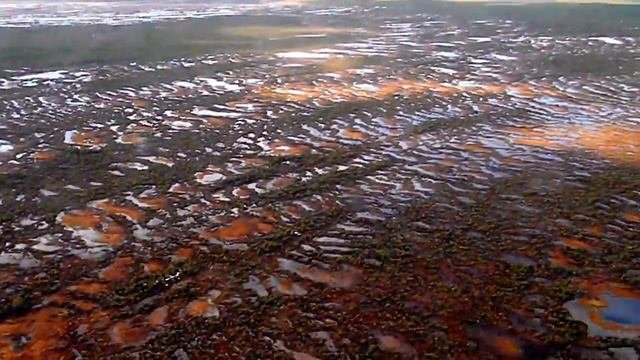 Самое Большое Болото В Мире