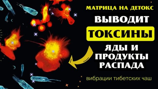 ОЧИЩЕНИЕ ВСЕГО ТЕЛА ОТ ТОКСИНОВ и ЯДОВ ЗВУКОМ ТИБЕТСКИХ ЧАШ С МАТРИЦЕЙ