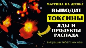 ОЧИЩЕНИЕ ВСЕГО ТЕЛА ОТ ТОКСИНОВ и ЯДОВ ЗВУКОМ ТИБЕТСКИХ ЧАШ С МАТРИЦЕЙ