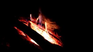 Solo bushcraft, с минимальным снаряжением I Обзор ножей Morakniv ELDRIS и ELDRIS LIGHTDUTY