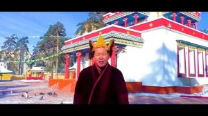 Зуткулей | 36 выпуск | Сагаалган 2021