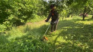 Testing Stihl Fs 460-c and Stihl Fs 361-C in big grass .