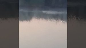 БЕЗОТКАЗНАЯ ПОПЛАВОЧНАЯ СНАСТЬ.  ПОПЛАВОК С КОРМУШКОЙ.  Рыбалка на карася.