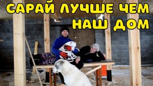 БУДУТ УСЛОВИЯ ЛУЧШЕ ЧЕМ У ЛЮДЕЙ. ПОДПИСЧИКИ ПРИЕХАЛИ И ЗАБРАЛИ КОЗ.
