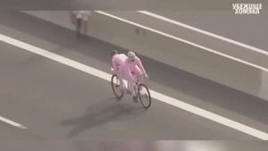 LIKE A BOSS COMPILATION #1 AMAZING