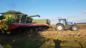 Комбайн убирает урожай подсолнуха на поле