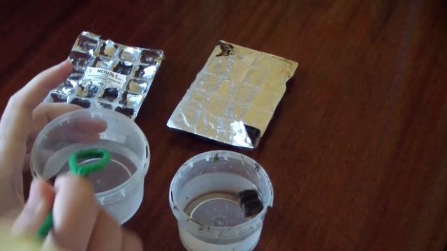 Мотыль. Польза для рыб. Отличие хорошего от непригодного. смотреть онлайн