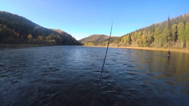 Два дня в ТАЙГЕ!!!Рыбалка на ХАРИУСА!!!Открытие осеннего сезона!!! Рыбалка на БОМБАРДУ!!! Часть 2. смотреть онлайн