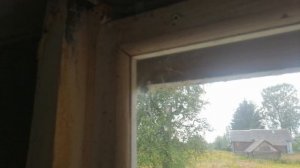 VID_20240804_141521.mp4