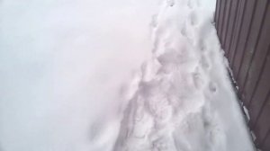 Раздвижные ворота. Эксплуатация зимой.