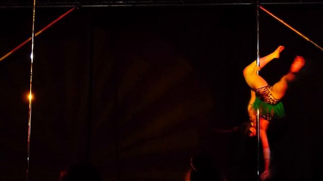 The First Slovak Pole Dance Championship in Nitra смотреть онлайн