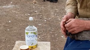 БОЛЕЗНИ КУР И МЕТОД ИХ ЛЕЧЕНИЯ | ВЯЛАЯ И МАЛОПОДВИЖНАЯ КУРИЦА