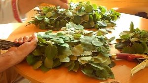 Веник из осины